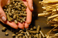 free Worgret biomass boiler quotes